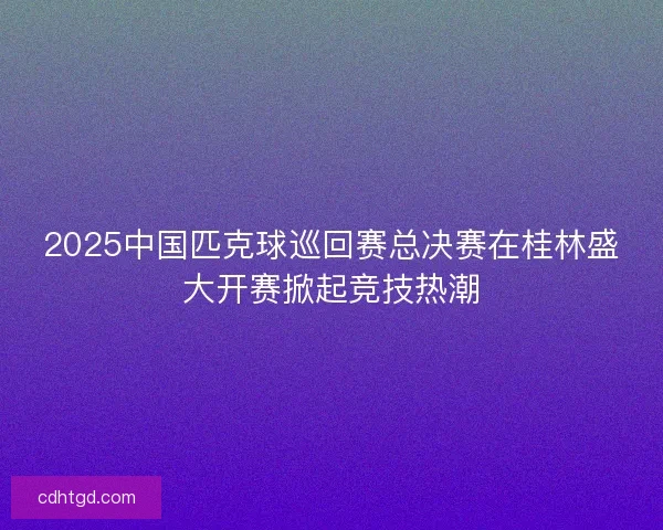 2025中国匹克球巡回赛总决赛在桂林盛大开赛掀起竞技热潮